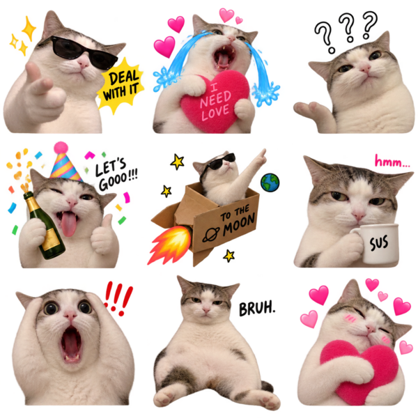 stickers meme gatos